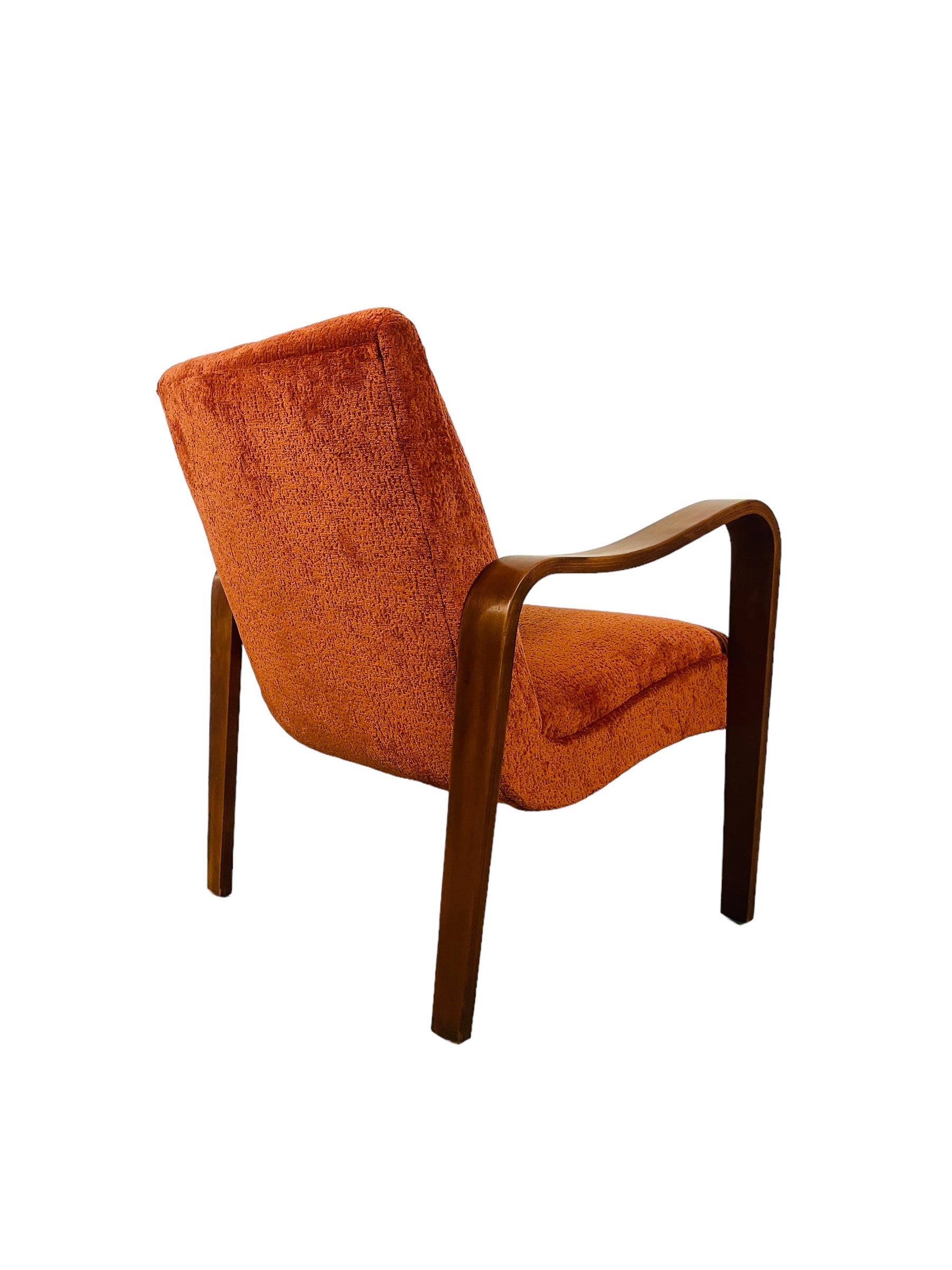 Mid Century Modern Thonet Lounge Chair  image 7