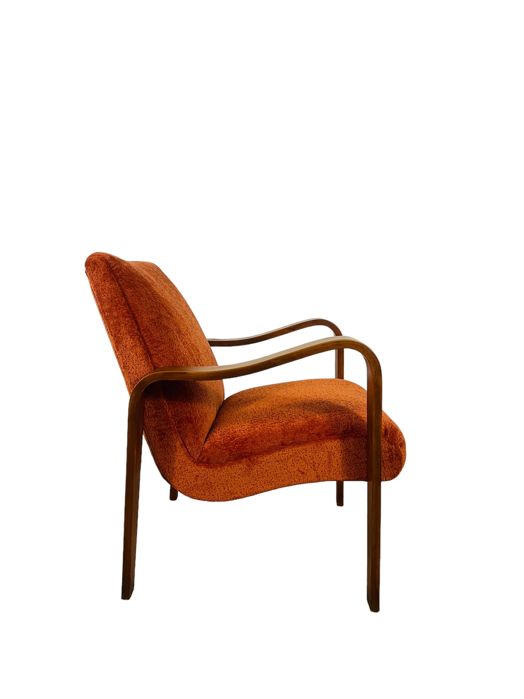 Mid Century Modern Thonet Lounge Chair  image 4