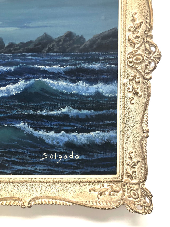 Oil on Canvas Signed by Salgado image 10