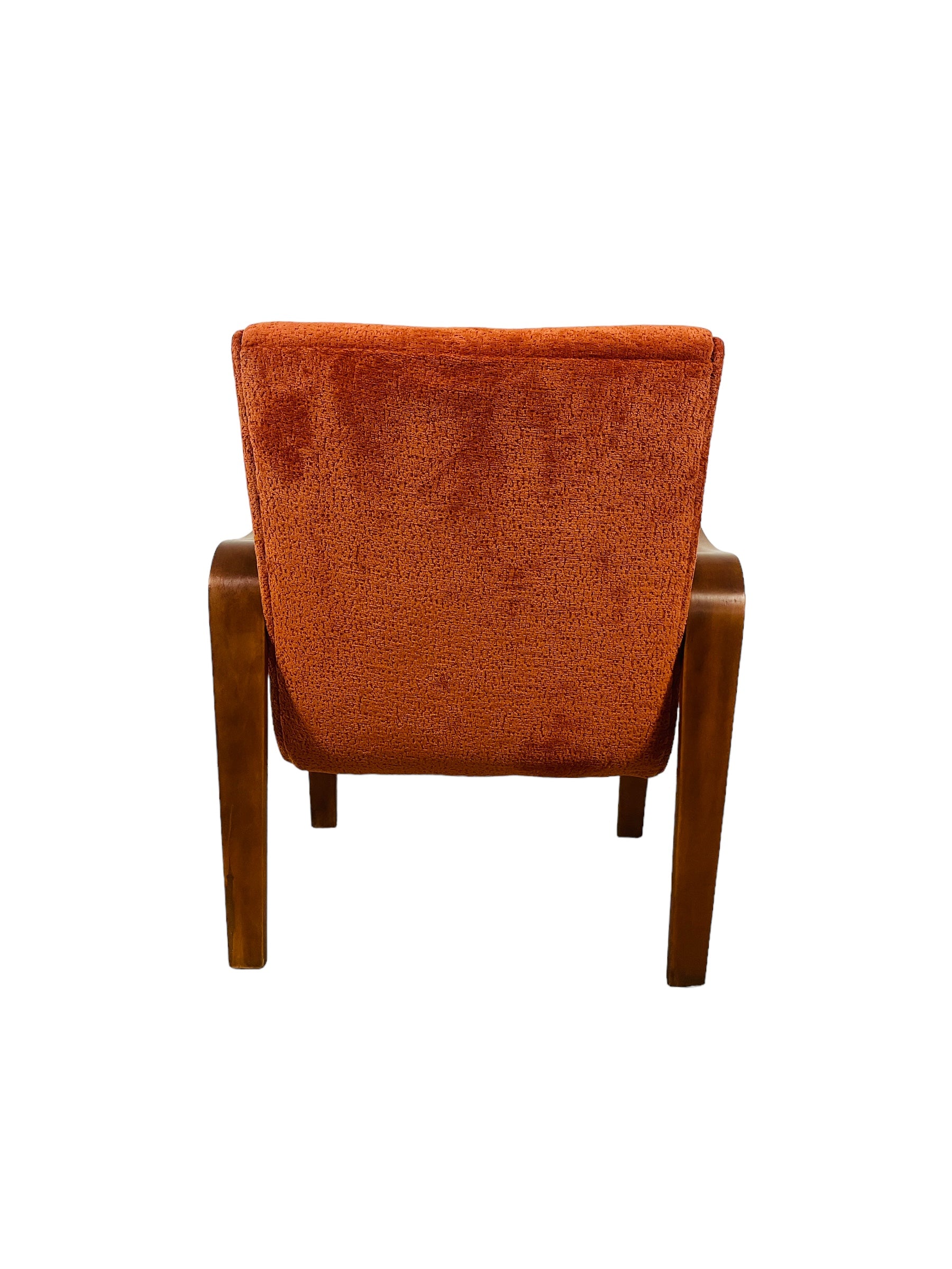 Mid Century Modern Thonet Lounge Chair  image 9